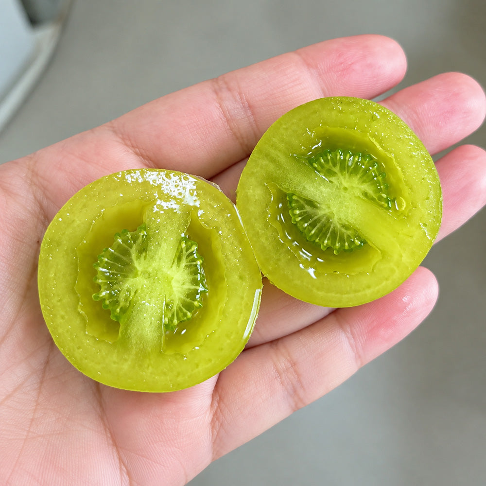 125 Gobstopper Tomato