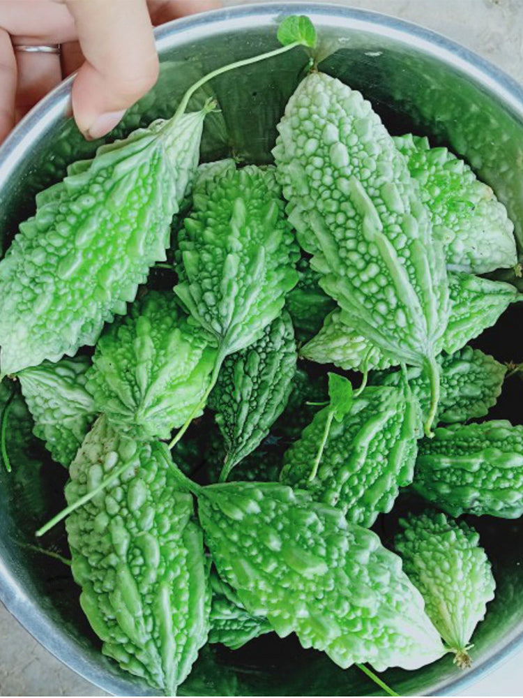 Small Spiny Bitter Melon