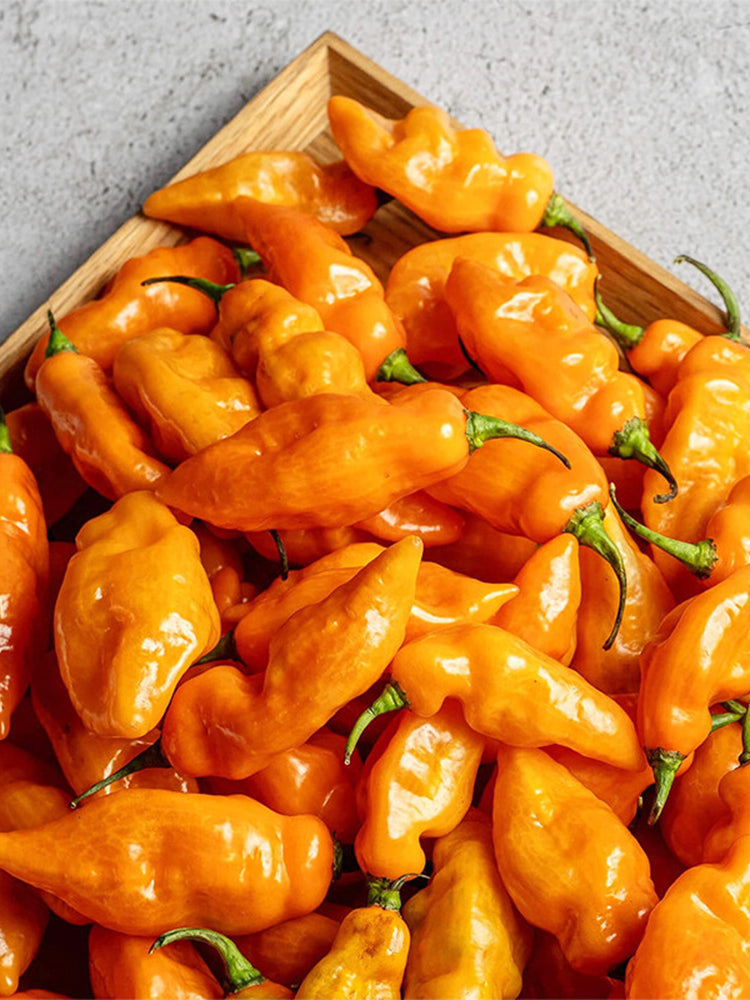 Habanada Sweet Pepper