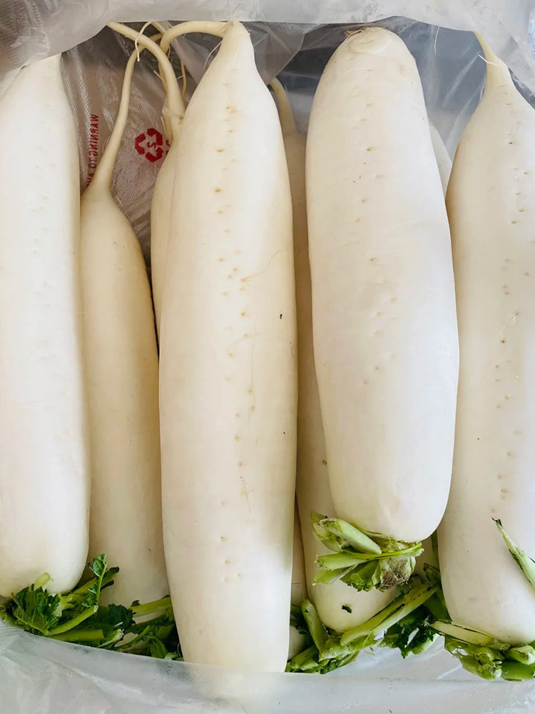 'Zao Luobo No. 13' White Radish