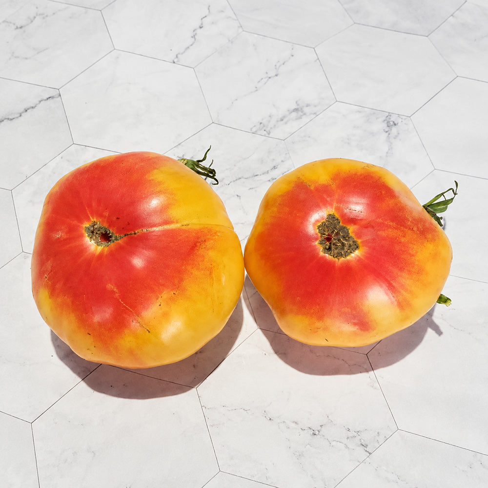 98 Mermaid Tomato