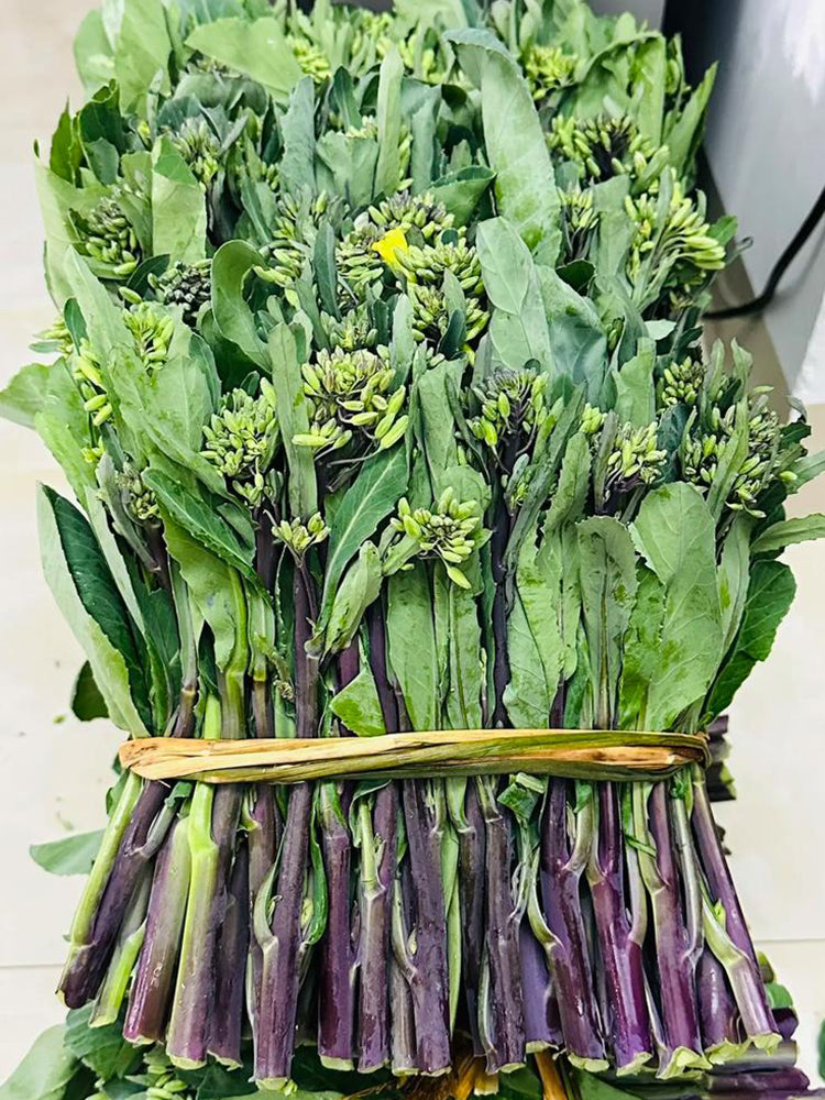 Curly-Leaf Red-Stem Chinese Kale