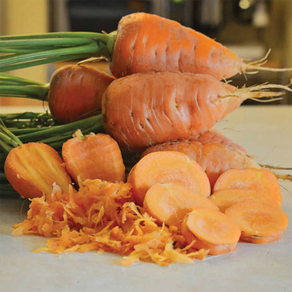 U2225 Oxheart Carrot
