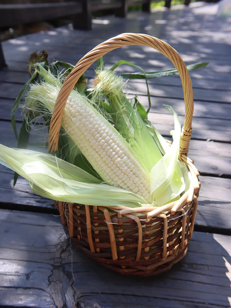 Milk Fruit Sweet Corn