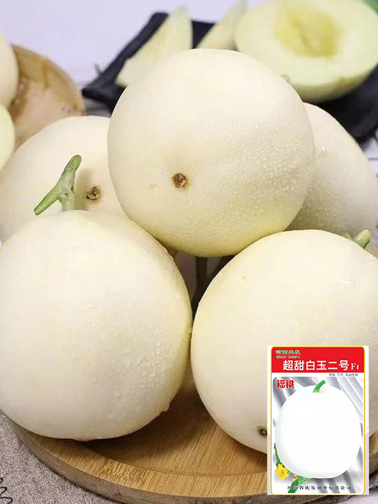 Super Sweet White Jade No.2 Melon