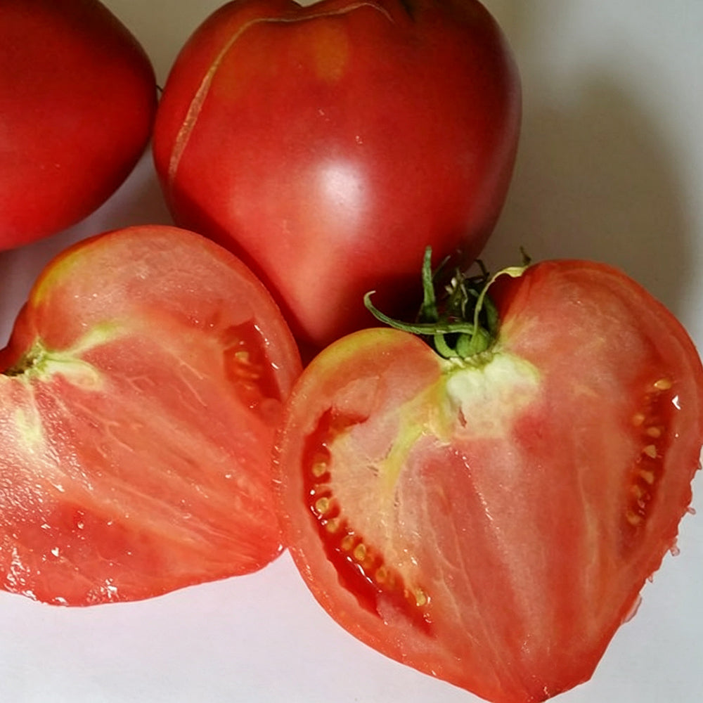 W954 Hungarian Heart Tomato