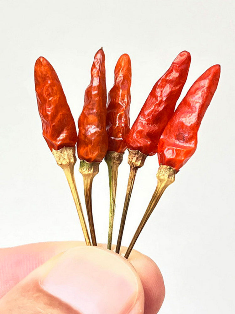 Bird's Eye Chili