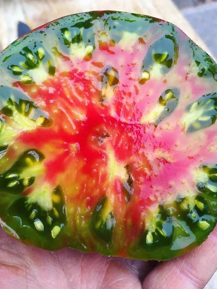 914 Black Pineapple Tomato