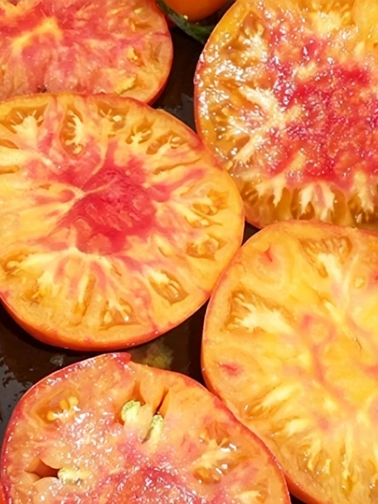 Hillbilly Potato Leaf Tomato