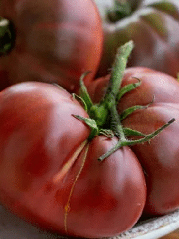 Krim Tomato