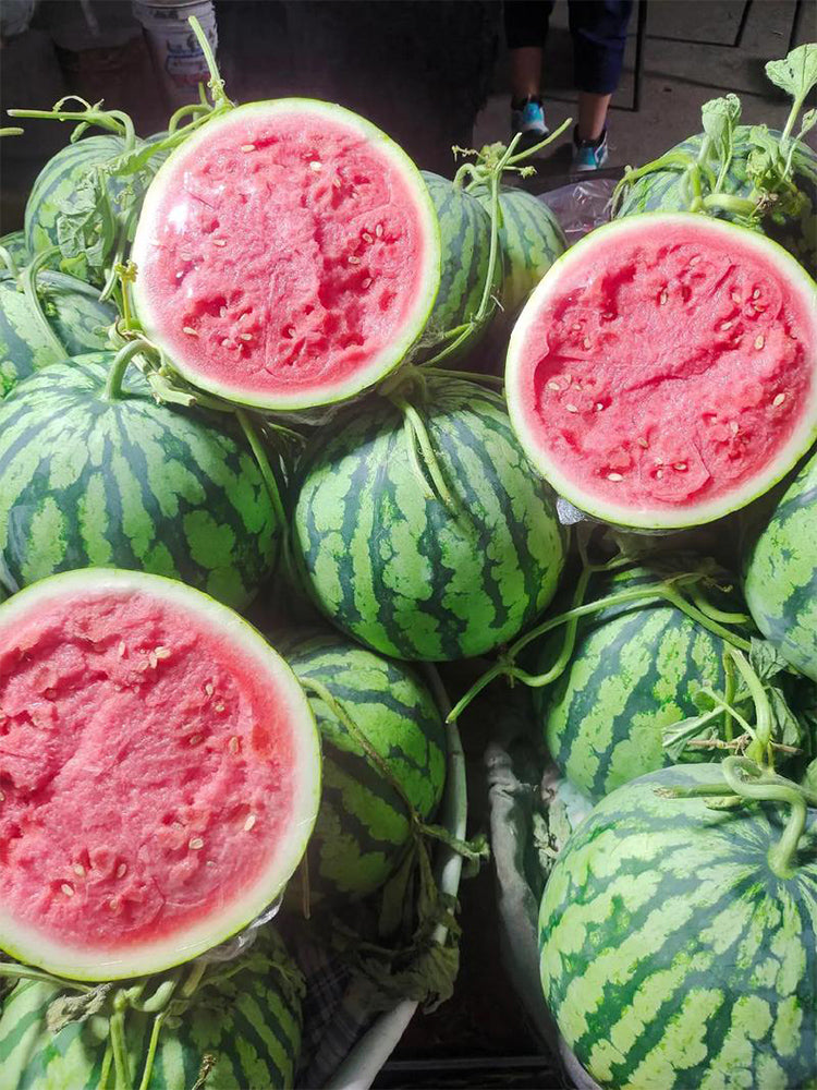 Xiumei Meidu Watermelon