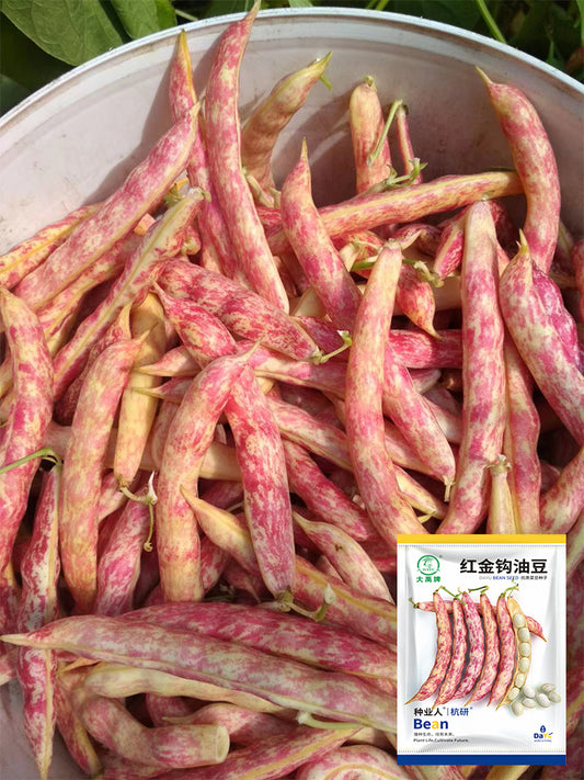 Dayu Red Golden Hook Snap Bean