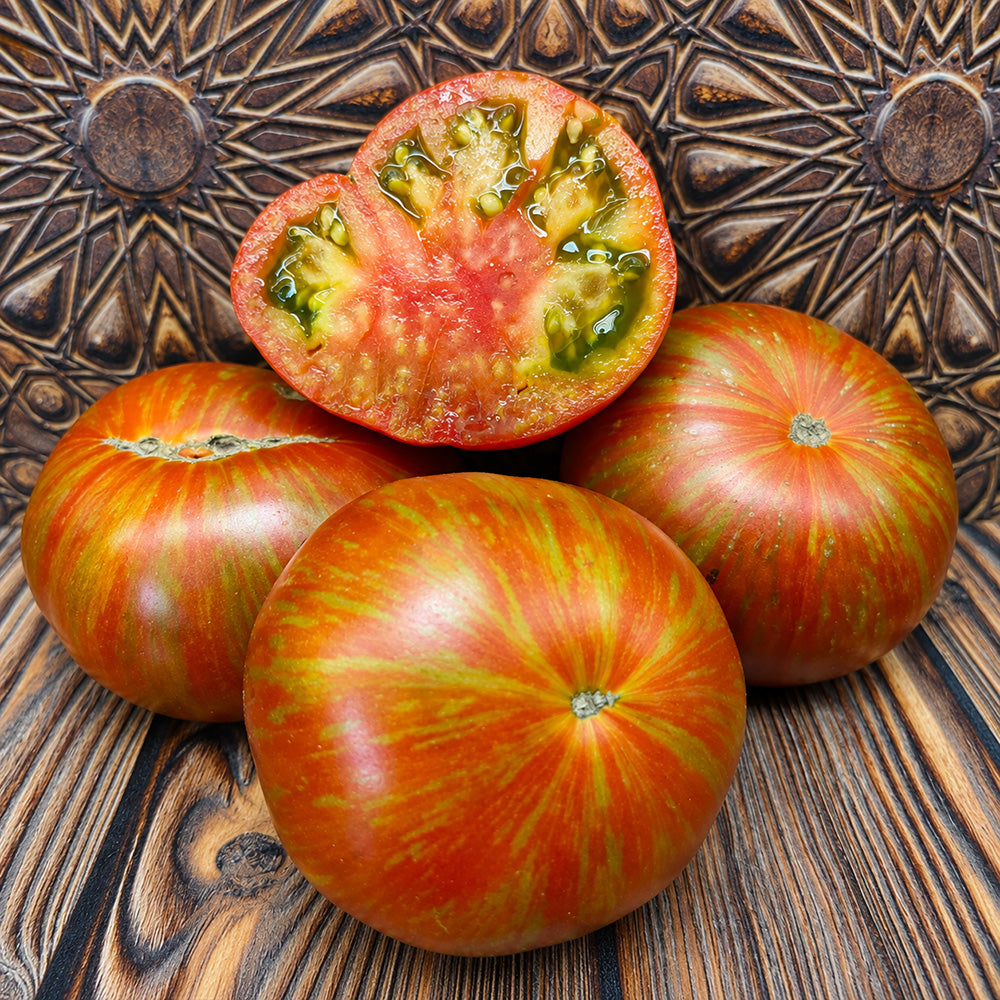 466 Dwarf Delta Diver Red Tomato