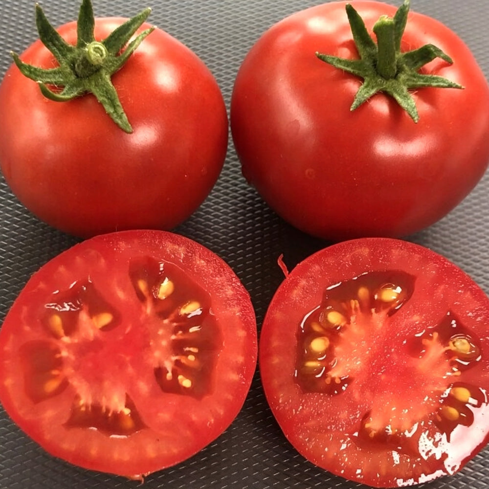 573 Tiny Totem Tomato