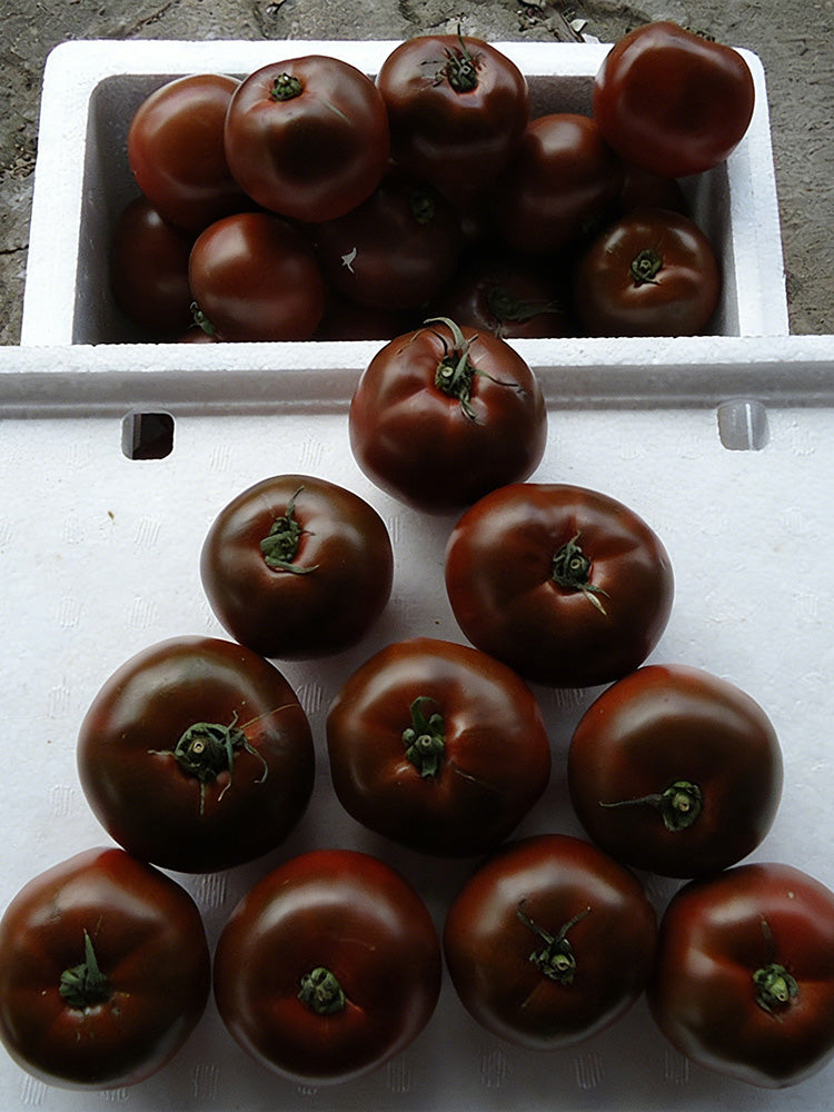 Chocolate Tomato