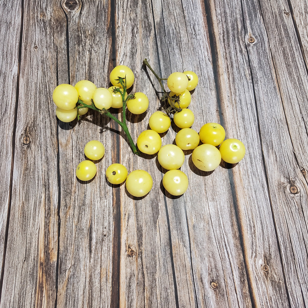 222 Dwarf Desert Star Cherry Tomato