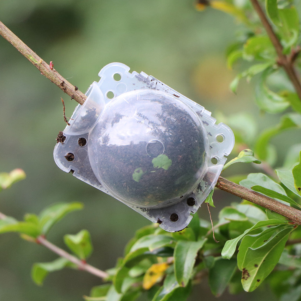 Tree Root Growing Box for Grafting, Tree Rooter Air Layering ...