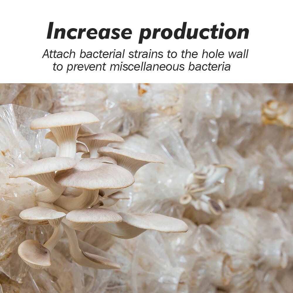 20 Inoculation Sticks, Autoclave PP Plastic Commercial Grade for Mushroom Cultivation