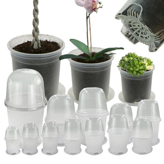 Clear Propagation Pot with Humidity Dome and Tray, Set of 10