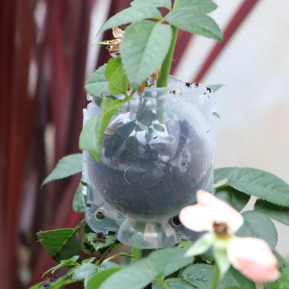 Tree Root Growing Box for Grafting, Tree Rooter Air Layering ...