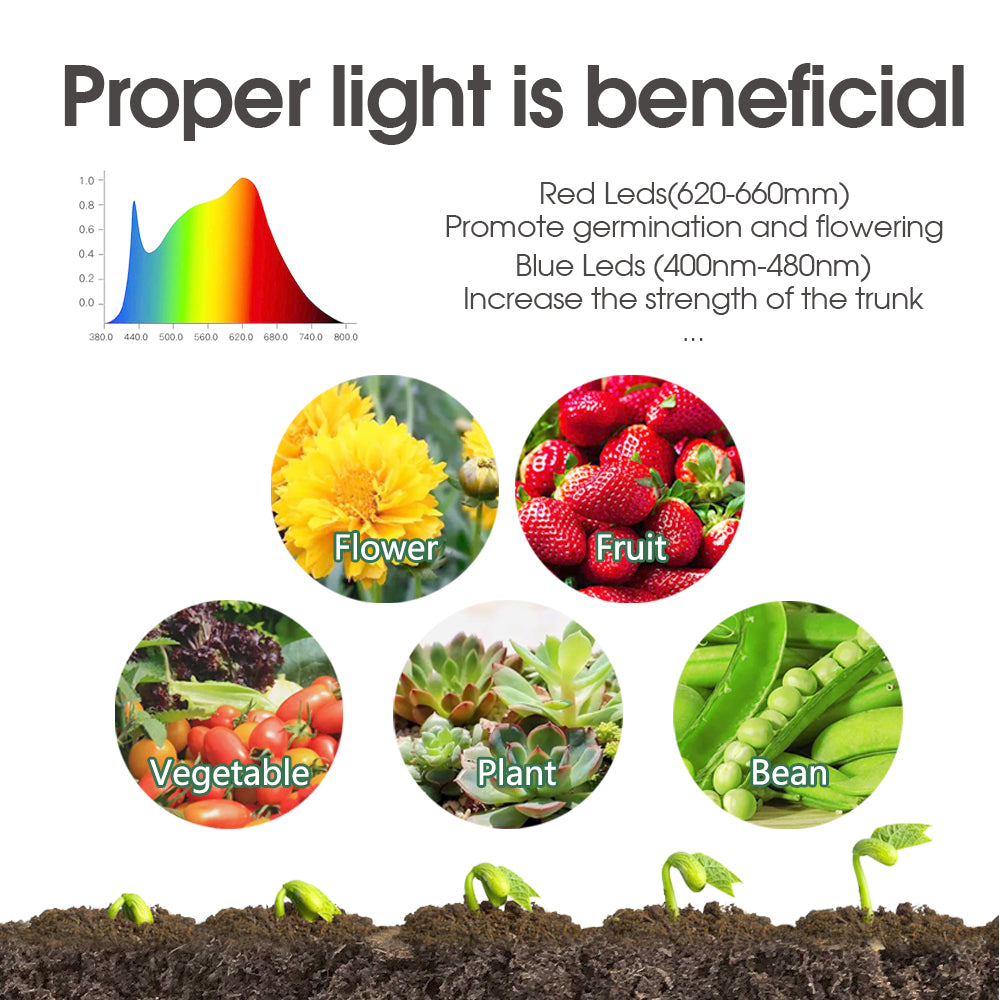 1-to-6 Seedling Starter Trays Box with 8 Beads LED Grow Lights Dimmable Brightness, Set of 1