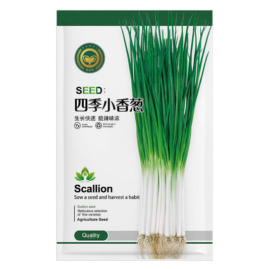 Jingyan® Seasonal Scallion Seeds